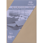 1001 Pkg 5 Kuverts B6 baileys