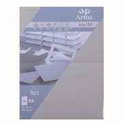 1001 Pkg 5 Karten E6 lichtgrau