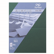 1001 Pkg 5 Karten E6 racing green