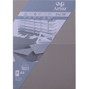 1001 Pkg 5 Karten A5 graphit