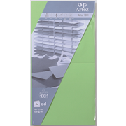 1001 Pkg 5 Karten qd birkengrün