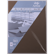 1001 Pkg 5 Karten A4 braun