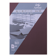 1001 emb. 5 feuilles A4 marsala
