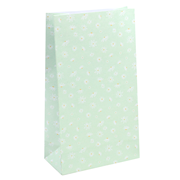 Sac en papier moyen mint