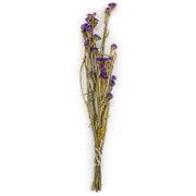 Statice sinuata 65-75cm purple