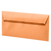 1001 envel. C6/5 mango
