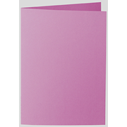 1001 cartes A6 sureau