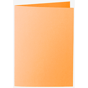 1001 cartes A6 mango