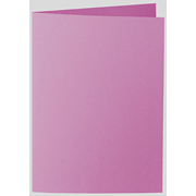 1001 cartes A5 sureau