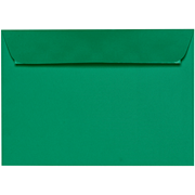 1001 envel. C5 vert sapin