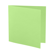 1001 cartes carr. vert bouleau