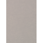 1001 feuilles A4 graphite