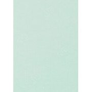 1001 Bogen A4 mint