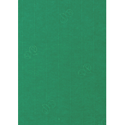 1001 feuilles A4 vert sapin