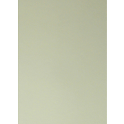 Floretta carton pl.light green