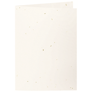 Green Line cartes A5 tortilla